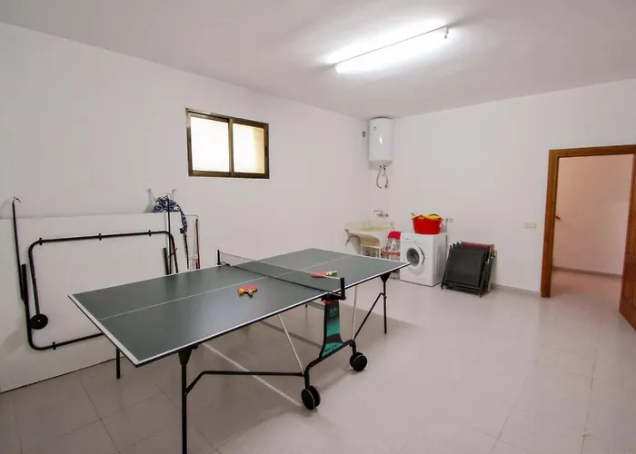 Palacios - Comfortable In