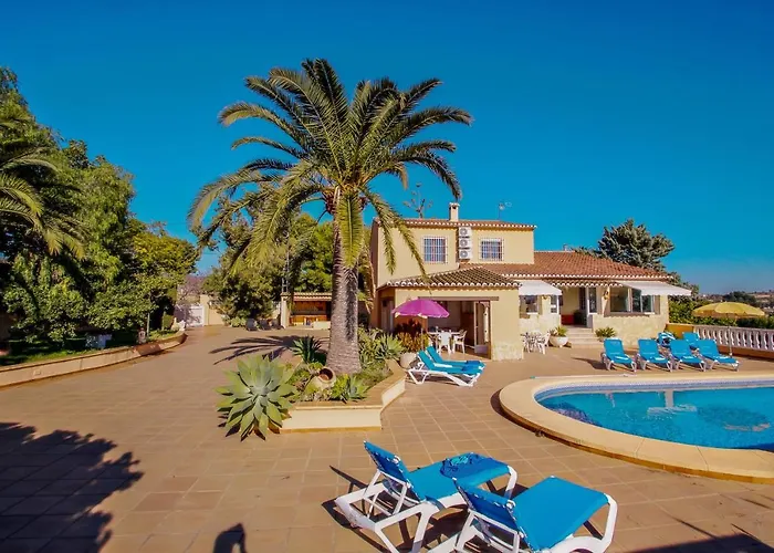 Palacios - Comfortable In Vila